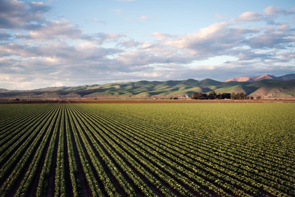 Aerial view of a farm with crops and mountains in the background