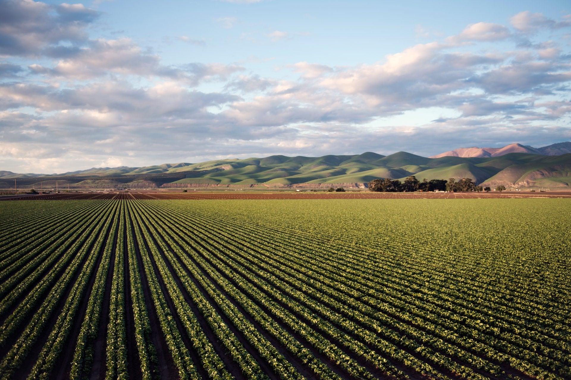 Aerial view of a farm with crops and mountains in the background